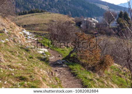 Spring Bushes Along Mountain Path Pian Stock Photo Edit Now