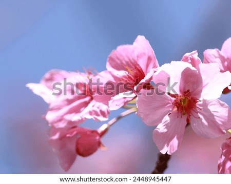 Spring came here quicker than usual.