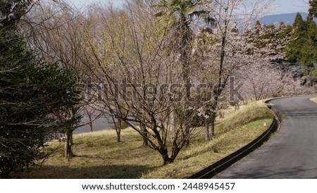 Spring came here quicker than usual.