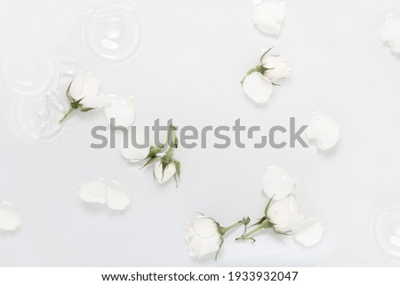 Spring card, white roses flat lay with water splash and droplet background, top view.