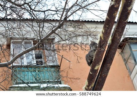 Similar – Old abandoned fish factory in Chioggia