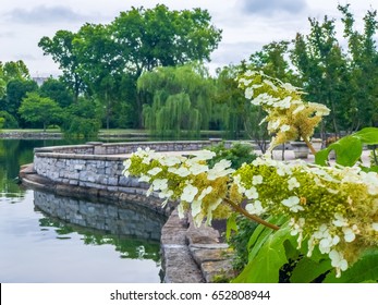 Spring In Centennial Park, Nashville, Tennessee