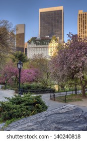 Spring In Central Park, New York City Facing The Plaza Hotel