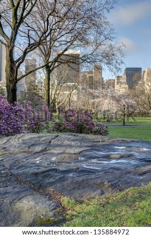 Similar – Image, Stock Photo After the rain a rainbow forms, in the foreground grasses