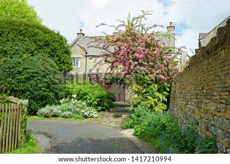 Spring and Cherry blossom in Hollyhocks Lane, Painswick, The Cotswolds, Gloucestershire, UK