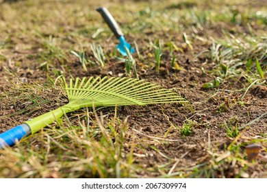 Spring Cleaning Backyard Flower Bed With Sprouting Flowers