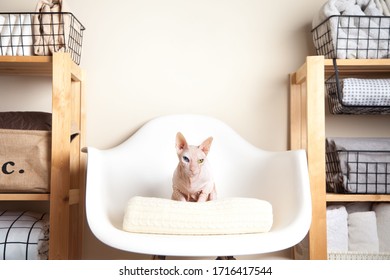 Spring cleaning of closet. Vertical tidying up storage. Neatly folded bed sheets in the metal black baskets for wardrobe. Nordic style. - Shutterstock ID 1716417544