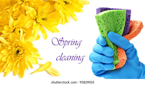 Spring cleaning concept.  Gloved hand with colorful sponges on white background with yellow mums and copy space. - Powered by Shutterstock