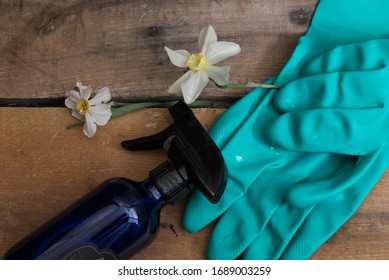 Spring Cleaning Flat Lay With Bright Blue Gloves, Homemade Cleaning Solution In A Cobalt Blue Bottle, And Fresh Daffodils On A Reclaimed Wooden Background.