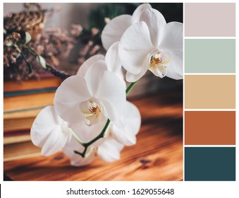 Spring color palette, harmonious colour combinations. Pastel color swatch.