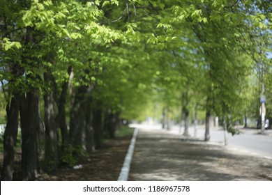 Spring is coming, весна йде