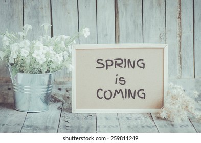 Spring comes перевод. Spring is coming. Spring is coming картинки на рабочий стол. Spring is coming Spring is coming Birdies. Spring is coming poster.