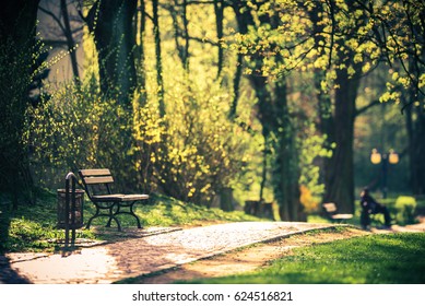 Spring Is Comming. Bench In The Park.