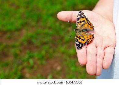 Spring concept with close up of child holding a painted lady butterfly, Vanessa cardui, with copy space - Powered by Shutterstock