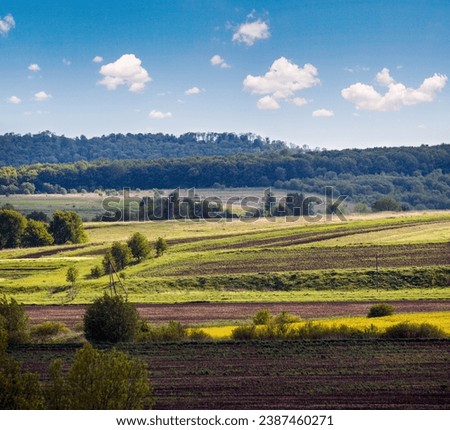 Spring countryside view with rapeseed yellow blooming fields, groves, hills. Ukraine, Lviv Region.