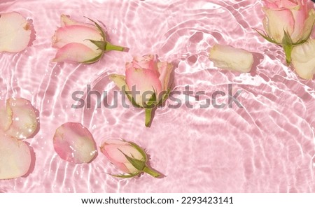 Spring creative layout with pink roses floating in water over pastel pink background. 80s or 90s retro fashion aesthetic bloom concept. Minimal romantic Valentines day, Mothers day or women day idea.