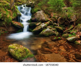 Spring Creek Flowing In The Channel With Moss