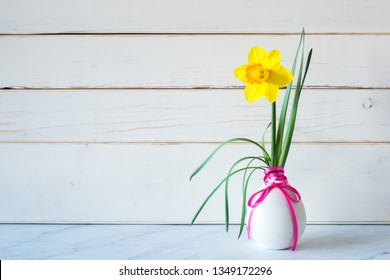 Spring Daffodil Flower In Modern Gray Vase On Table With White Wood Shiplap Boards Background With Copy Space On Side.  Horizontal