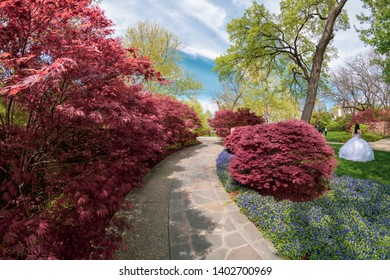 Spring In Dallas Arboretum, Texas