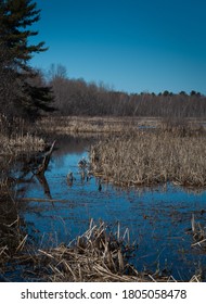 Spring Day In Bangor, Maine