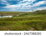 Spring day at Cranberry Flats Conservation Area