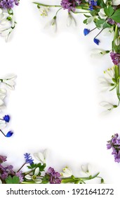Spring Decoration. Frame Of Flowers White Snowdrops, Blue Scilla, Violet Pink Hollowroot On A White Background With Space For Text. Top View, Flat Lay