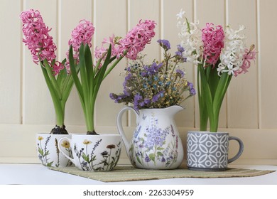 Spring decoration with pink and white hyacinth flowers in tea cups and a jug with flowers. White wooden background. - Shutterstock ID 2263304959