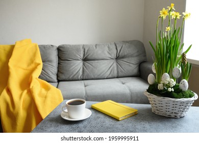 Spring and Easter flowers composition in flowerpot and coffee on table in living room with grey couch and yellow pled. Planning spring weekend.