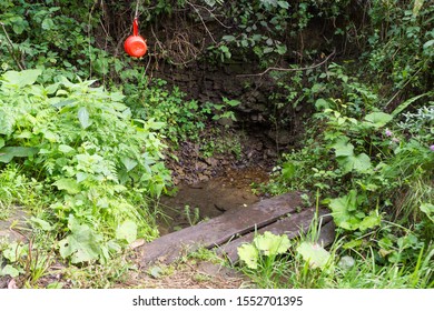 Spring. An environmentally friendly source of fresh water spurting from rock.