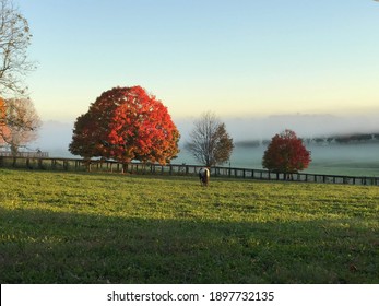 Spring and Fall on a farm in Kentucky