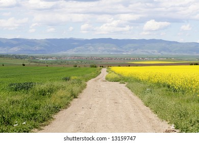 Spring field
