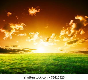 Spring Field Of Grass And Sunset