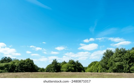 Spring field landscape with Morning sunrise,blue sky,cloud over green grass lawn and forest tree in the environment public park,Horizon Summer Nature garden with grassland with sunlight - Powered by Shutterstock