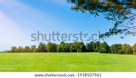 Spring field landscape with Morning sunrise,blue sky,cloud over green grass lawn  and forest tree in the environment public park,Horizon Summer Nature garden with grassland with sunlight,