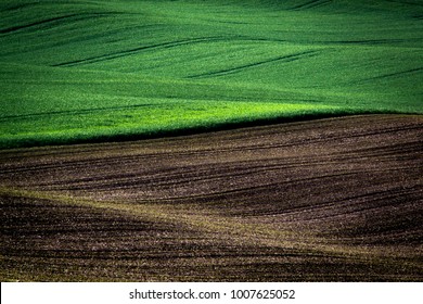 Spring field organic eco background. Summer hill agriculture wallpaper. - Shutterstock ID 1007625052