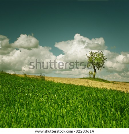 Similar – summer air Man Maize field