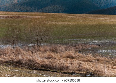 Spring Fields Stock Photo 639105538 | Shutterstock