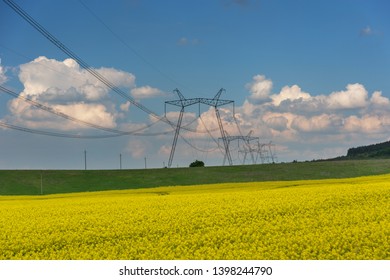 Spring fields with bloom rape and power lines.