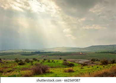 Spring Fields Of Galilee, Israel