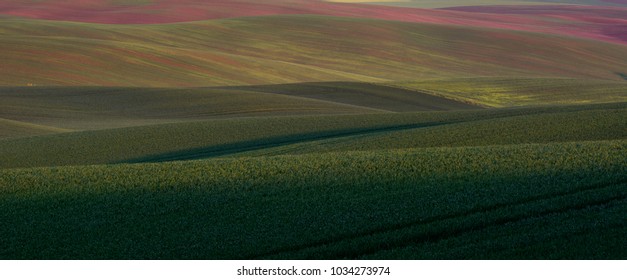 Spring Fields In Volhynia, Ukraine