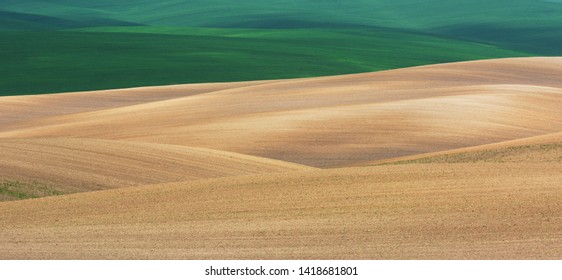 Spring Fields In Volhynia, Ukraine