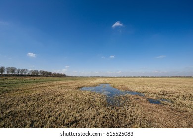 spring fields in a water. blue sky