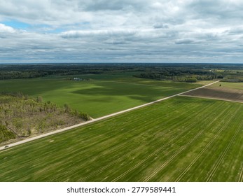 Spring Fields in Zemgale with Dramatic Clouds and Country Road