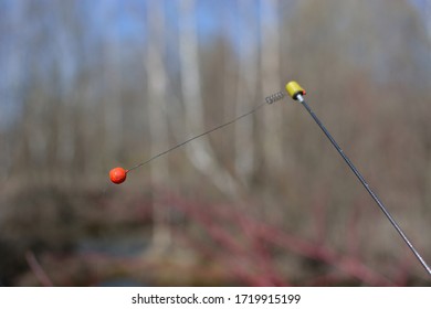  Spring Fishing On The Pond, Perccottus Glenii