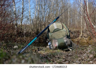 Spring Fishing On The Pond, Perccottus Glenii