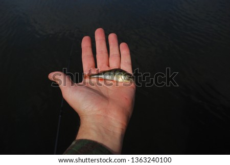 spring fishing on Starobeshevo Lake Donetsk People's Republic