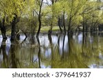 Spring flood