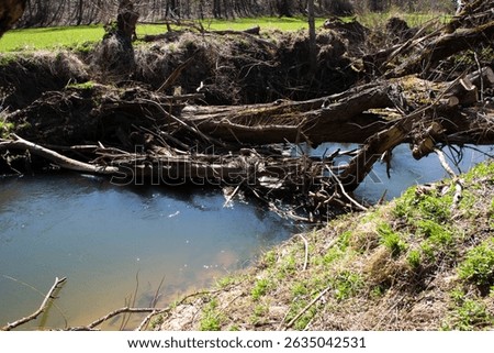 Spring flood caused a jam of fallen trees and debris on the river, illustrating the power of seasonal water flow and natural disruption in the landscape.