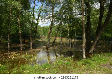 Spring Flood On The Desna River