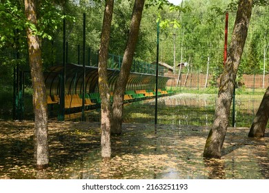 Spring Flood On The Desna River